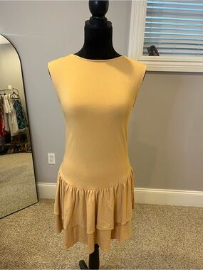 NWOT Wilfred Bloomsbury Ruffle Hem Dress- medium